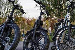 Three different kinds of e-bikes.